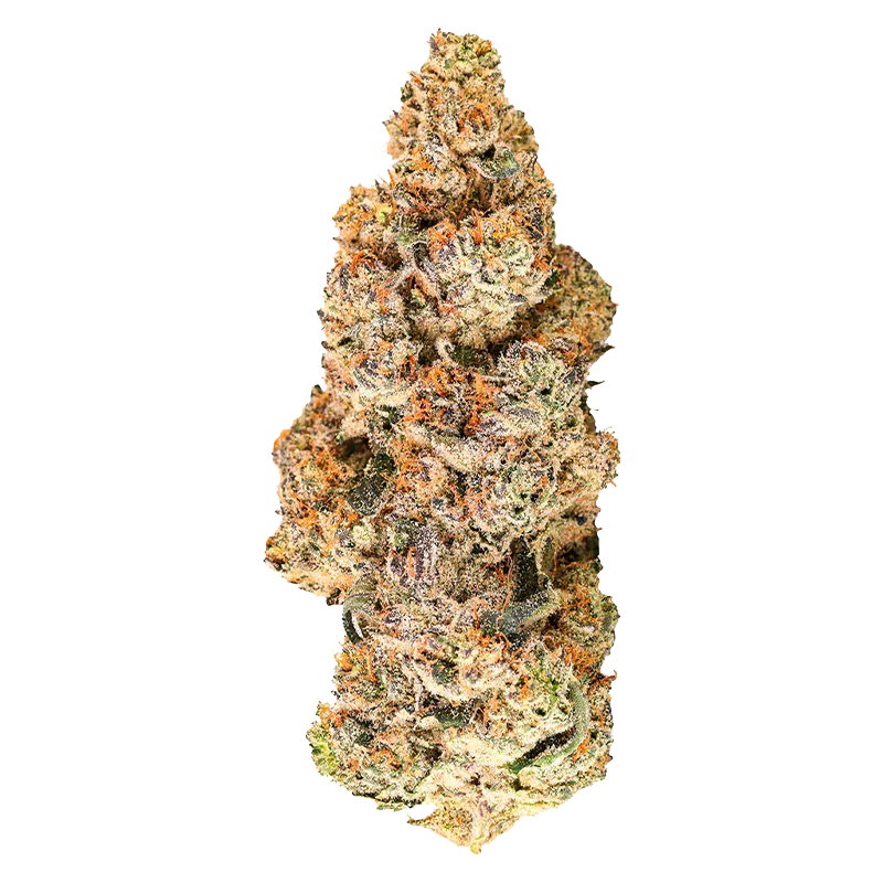 Zoy Sauce - Image 2