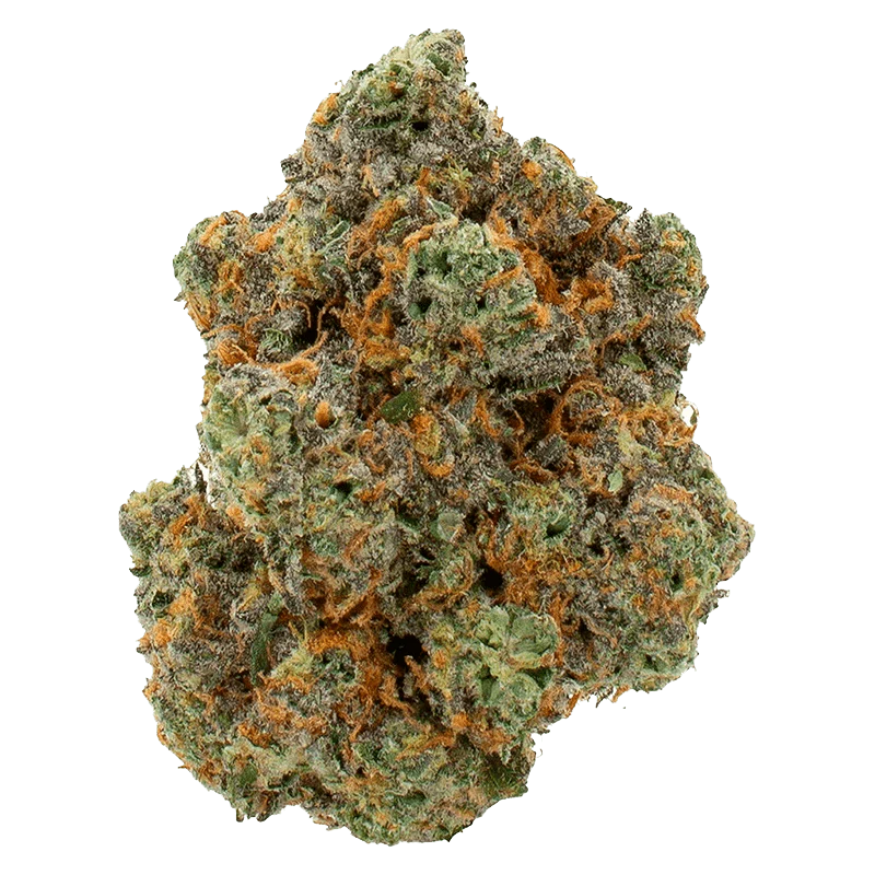 Mango Kush - Image 2
