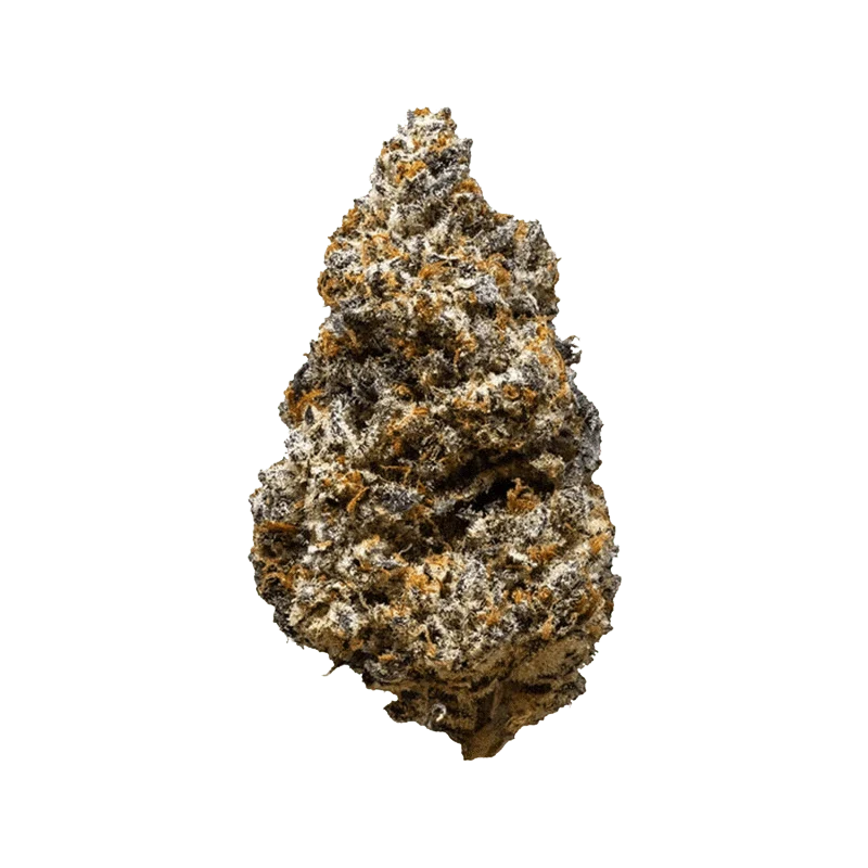 Oooze Breath - Image 2
