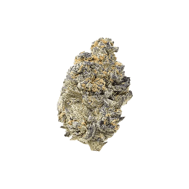 Pink Truffle - Image 2