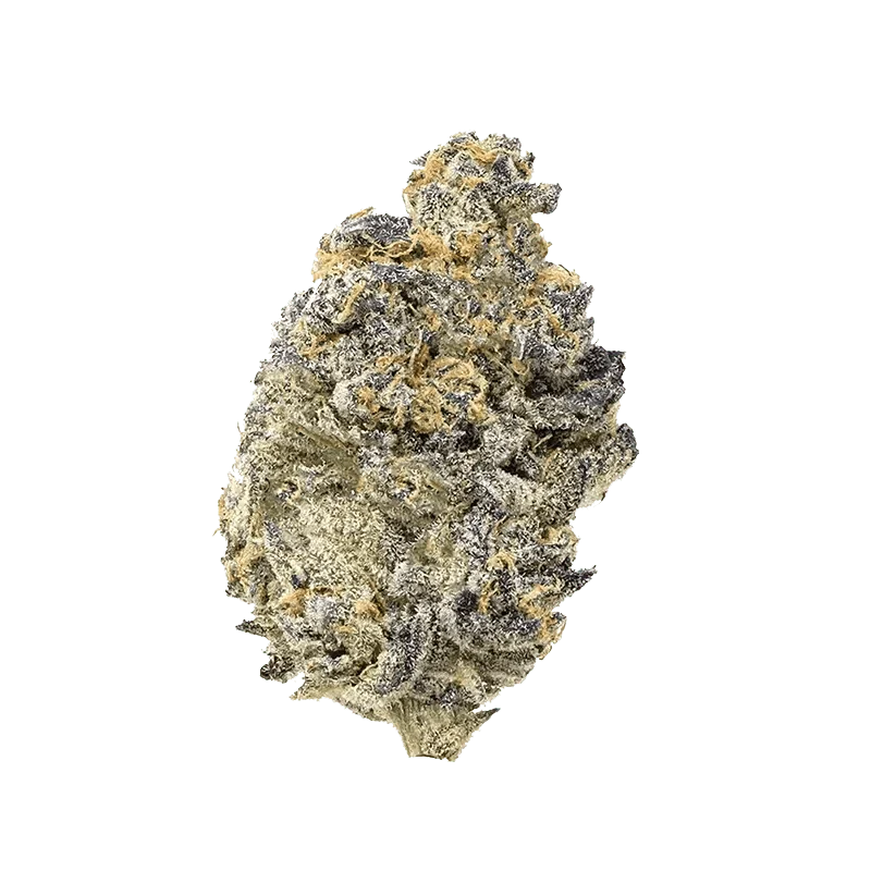 Pink Truffle - Image 2