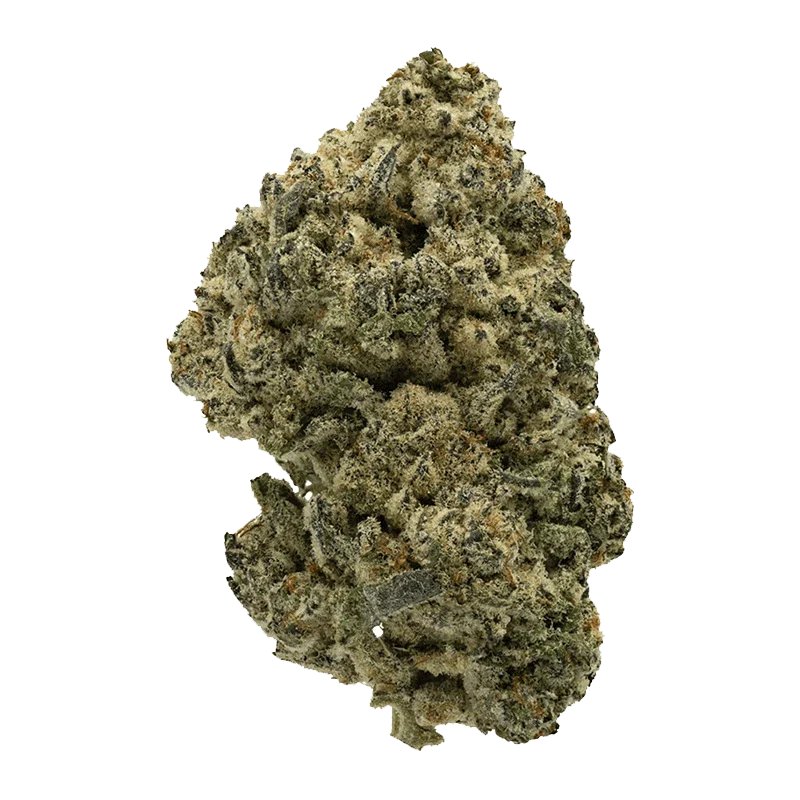 Rotating Indica - Image 2