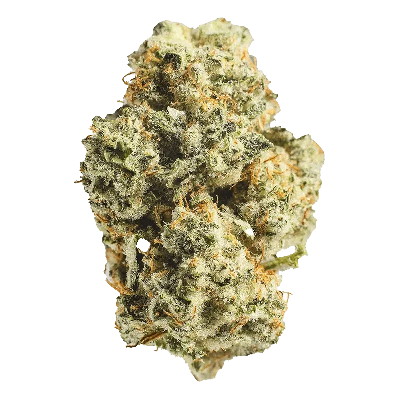 Sour Amnesia - Image 2