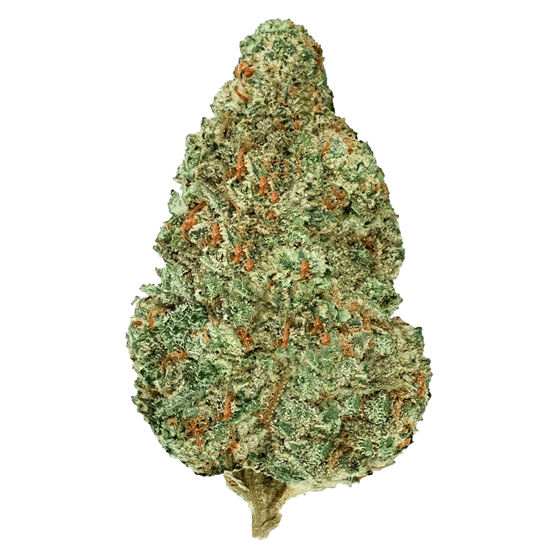 Chemzilla - Image 2
