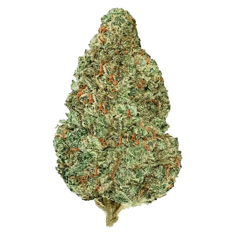 Chemzilla - Image 2