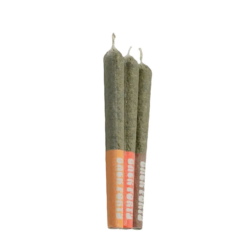 Multipack Infused PR 3 x 0.5 g - Image 2