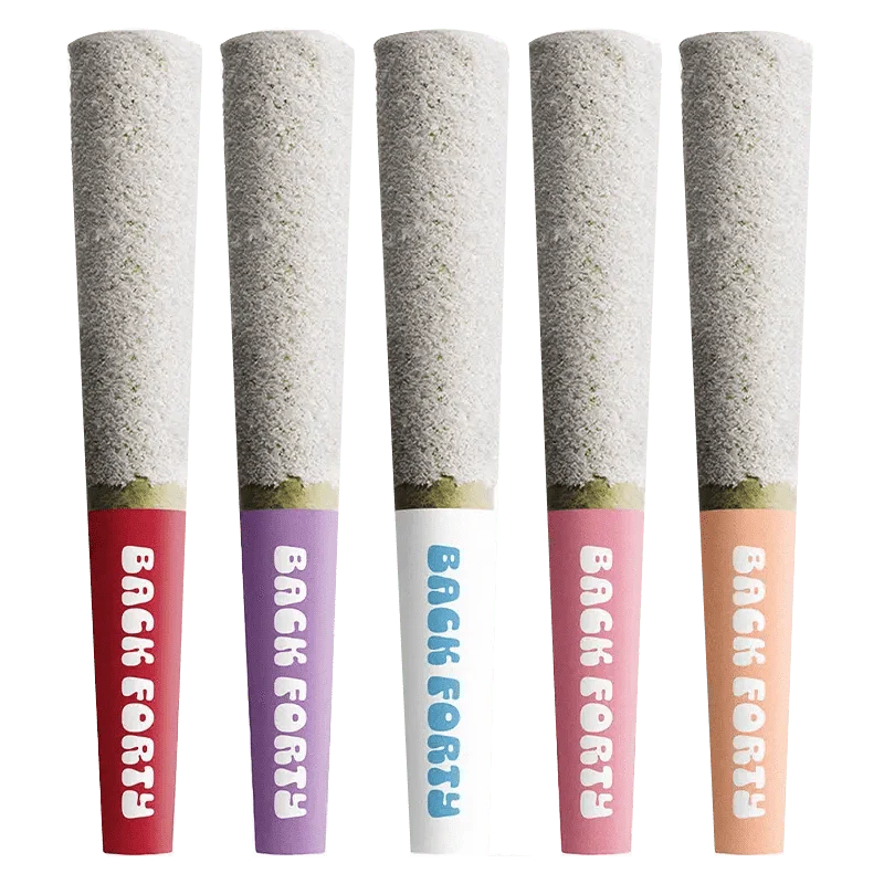 Taster Pack Infused PR 5 x 0.5 g - Image 2