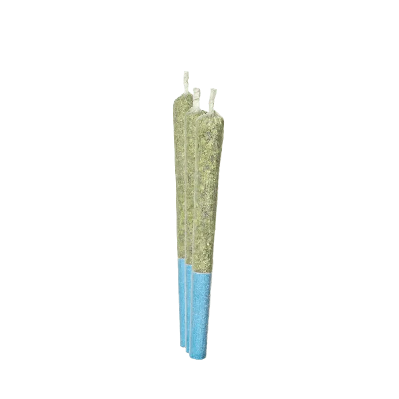 Blue Raspberry Infused PR 3 x 0.5 g - Image 2