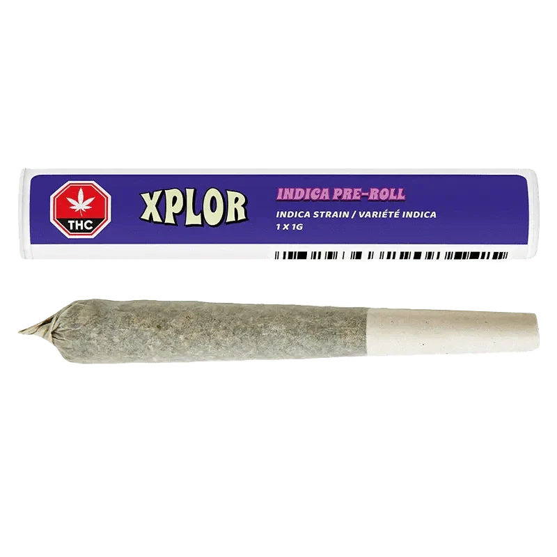 Indica PR 1 x 1 g