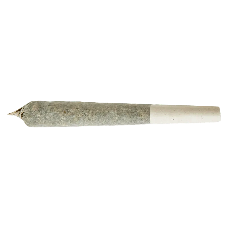 Indica PR 1 x 1 g - Image 2