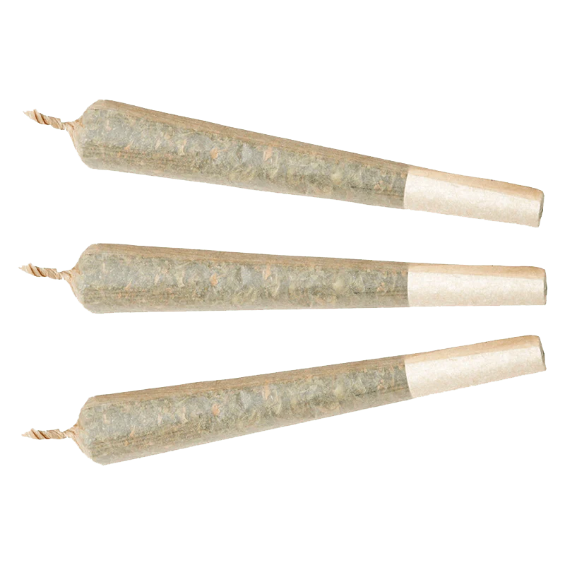 Watermelon G-Bear Distillate Infused PR 1 x 1 g - Image 2