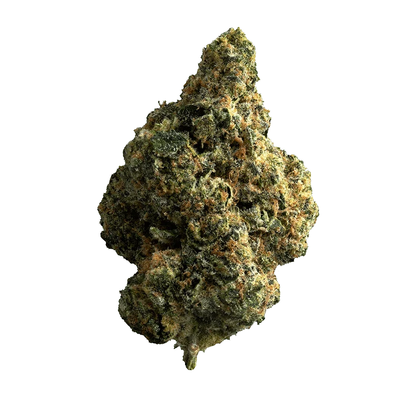 Republic 25%+ - Image 2