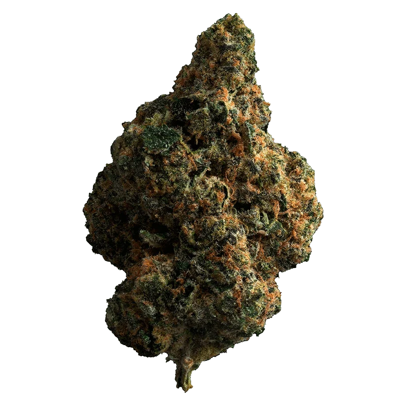 Tropicana Cookies - Image 2