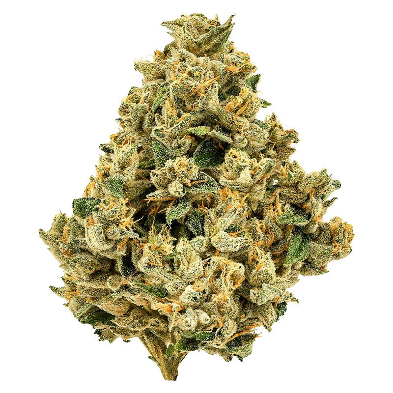 Strawberry Grail - Image 2