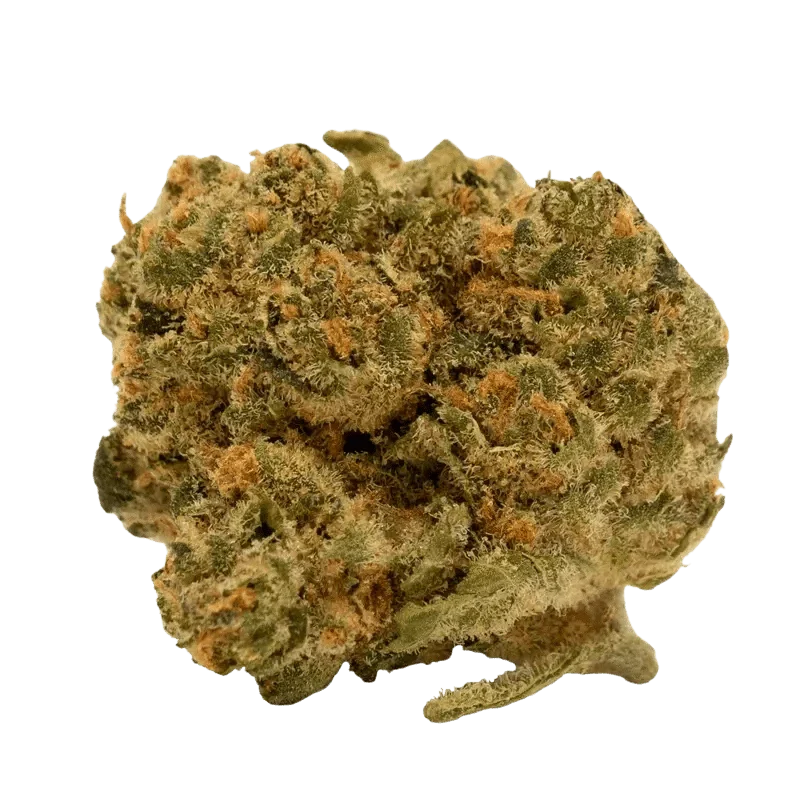 Chemsicle - Image 2