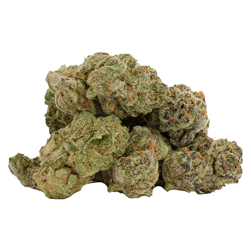 Glitterbomb X Rainbow Cheddar #5 - Image 2