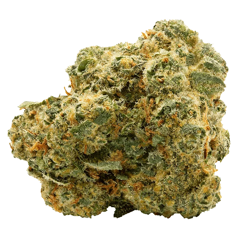 Blue Thai - Image 2