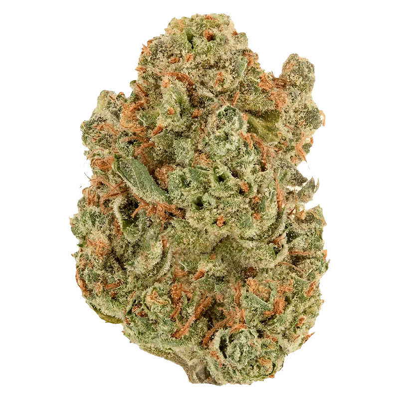 Double Bubba - Image 2
