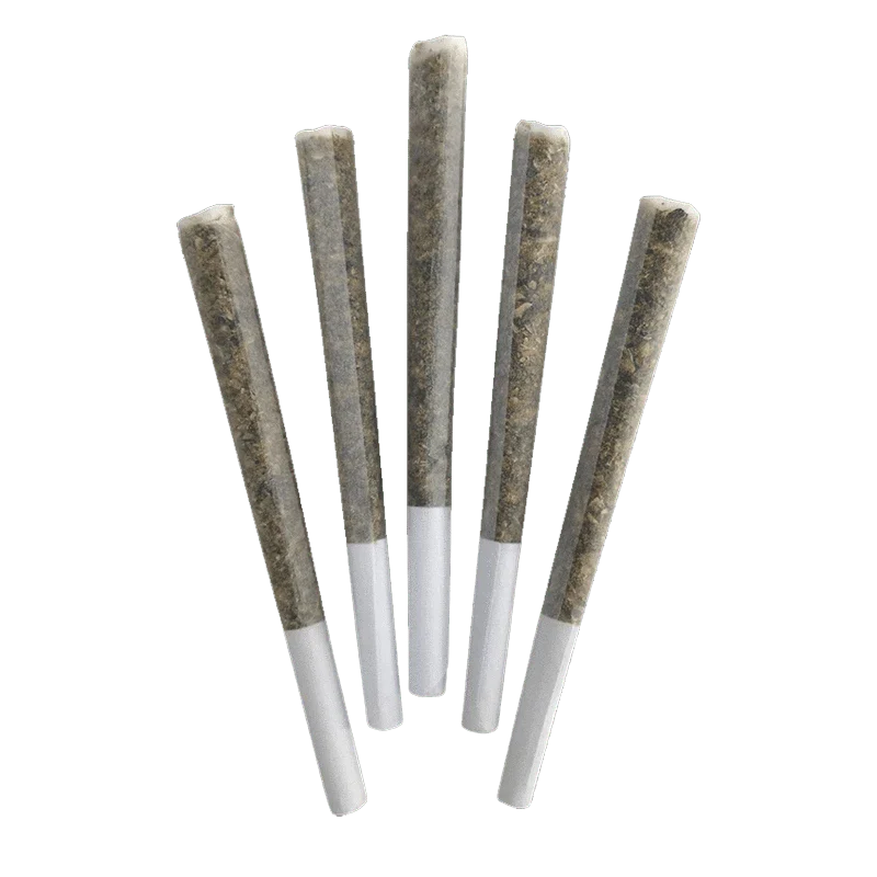 Iced Zuchi PR 5 x 0.5 g - Image 2
