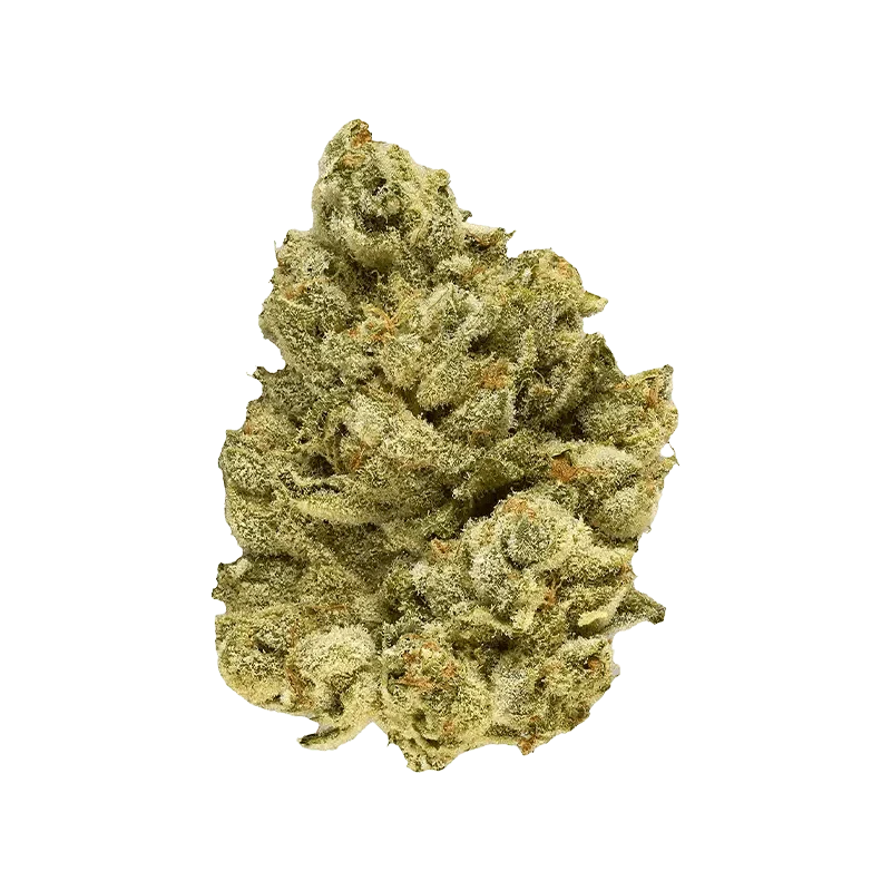 EmergenZ - Image 2