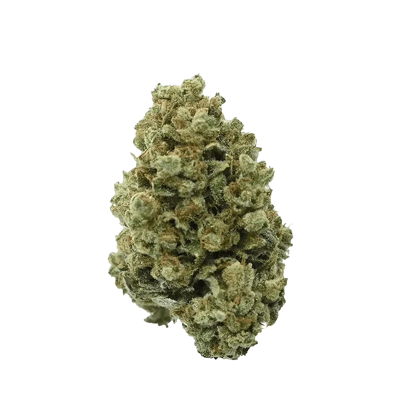 Pedro's Sweet Sativa - Image 2