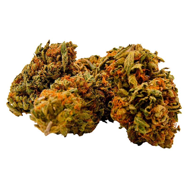 Gorilla Zkittlez - Image 2