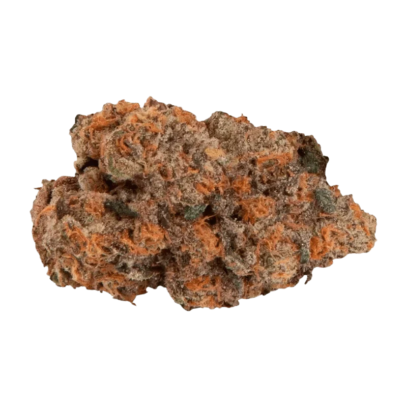 Cryptic Chronic - Image 2