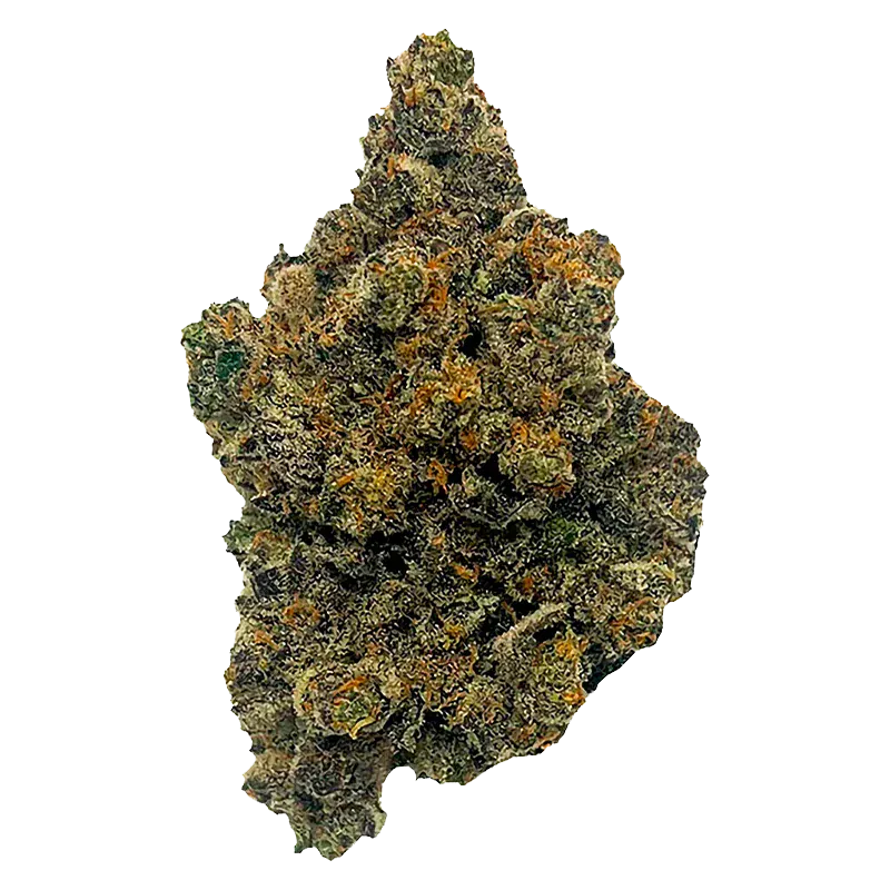 Mango Fuel - Image 2