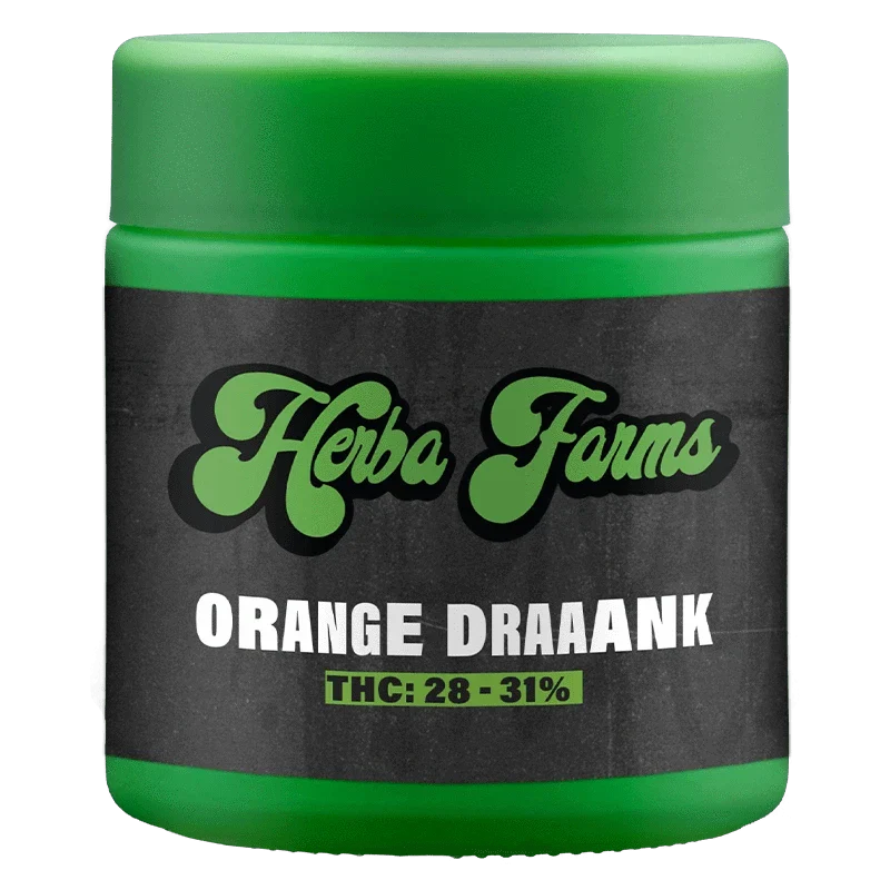 Orange Draaaank - Image 3