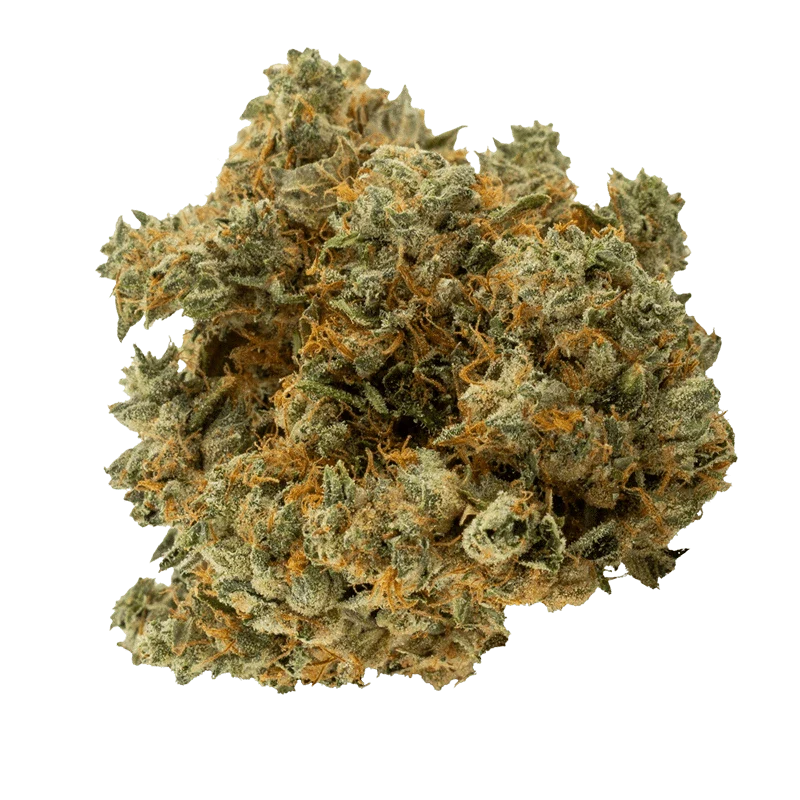 Black Triangle Kush - Image 2