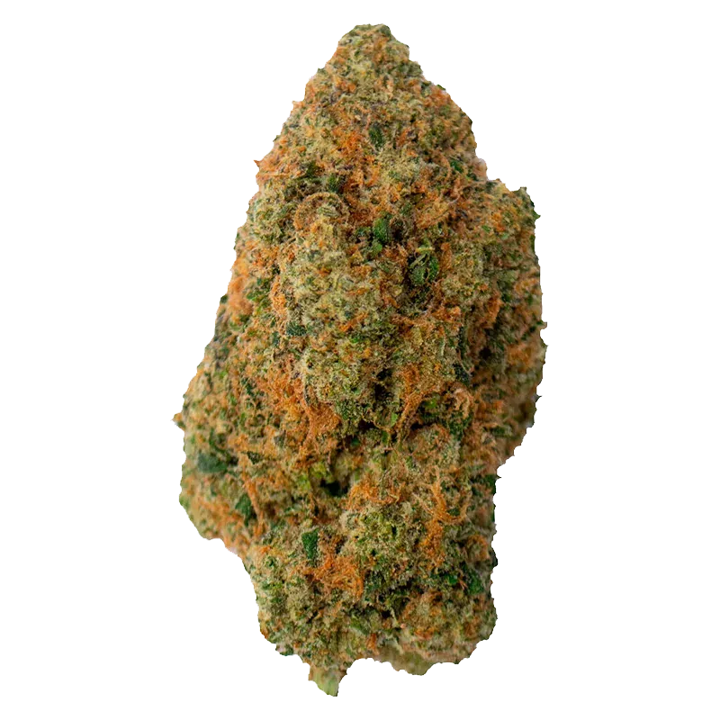 Gas Pack - Image 2