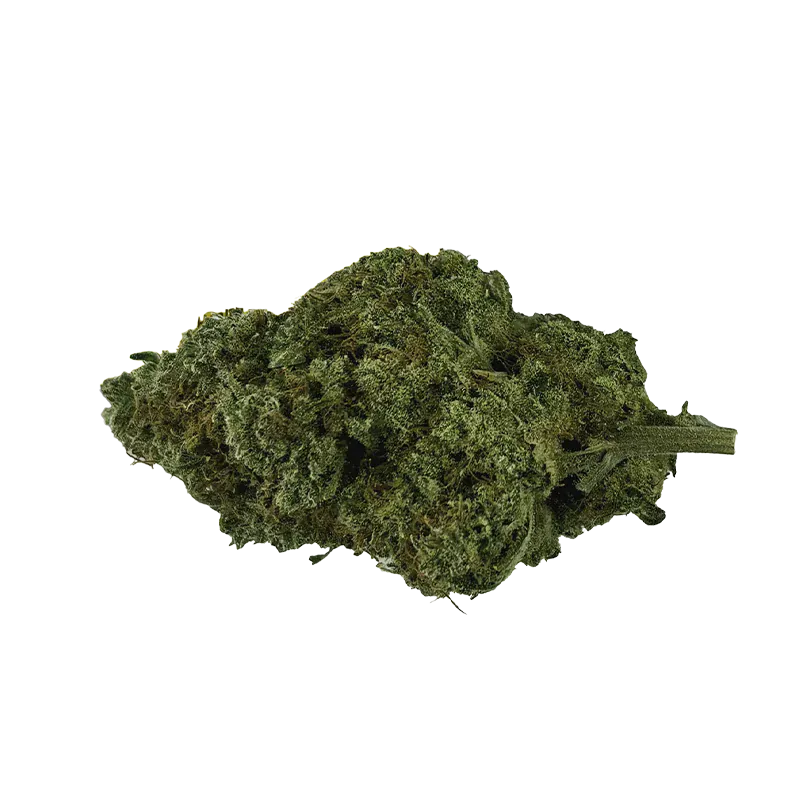 Organic Electric Skunk - Image 2
