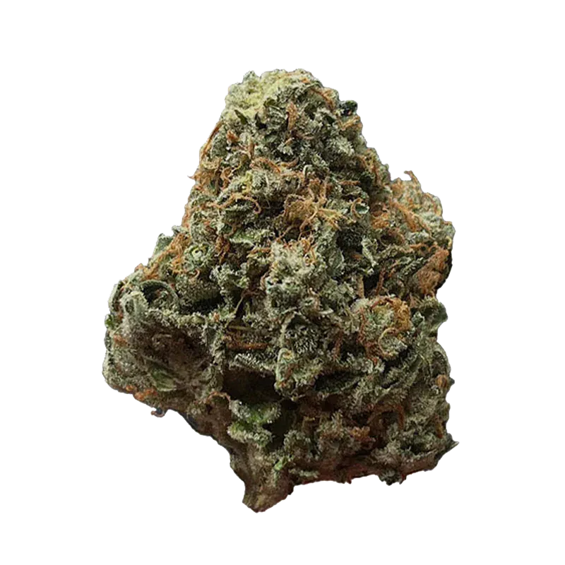 Green Congo - Image 2