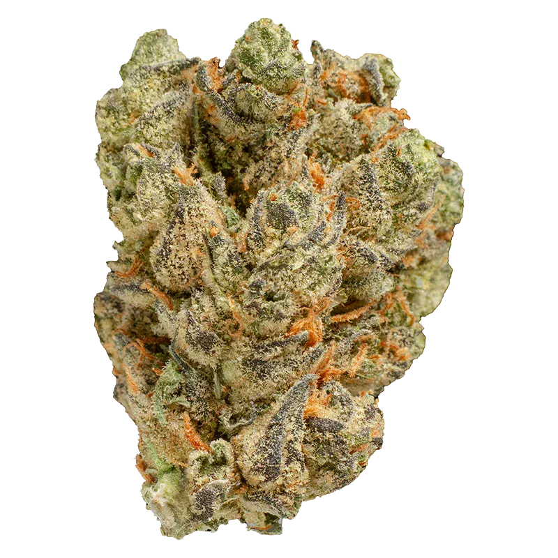 Peach Tree - Image 2