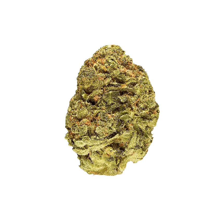 Melon Dream - Image 2