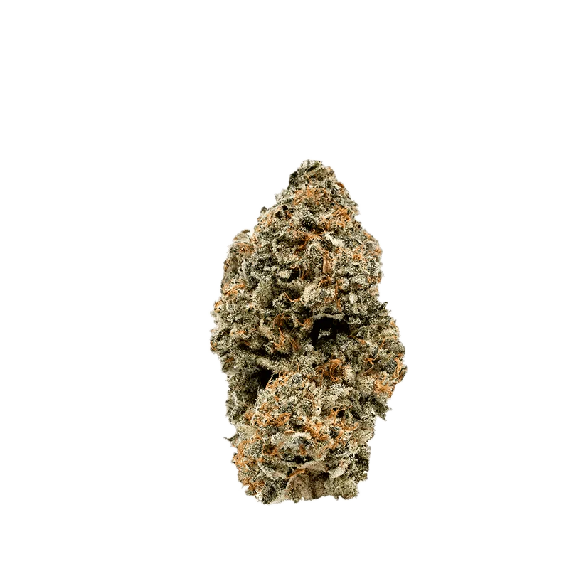 Nugszilla - Image 2