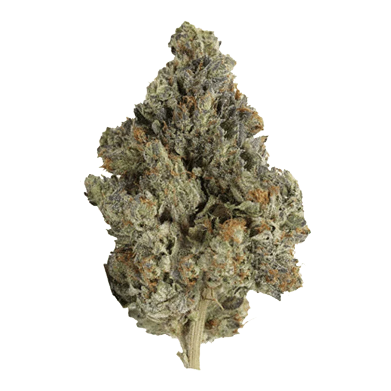 Master Kush Ultra - Image 2
