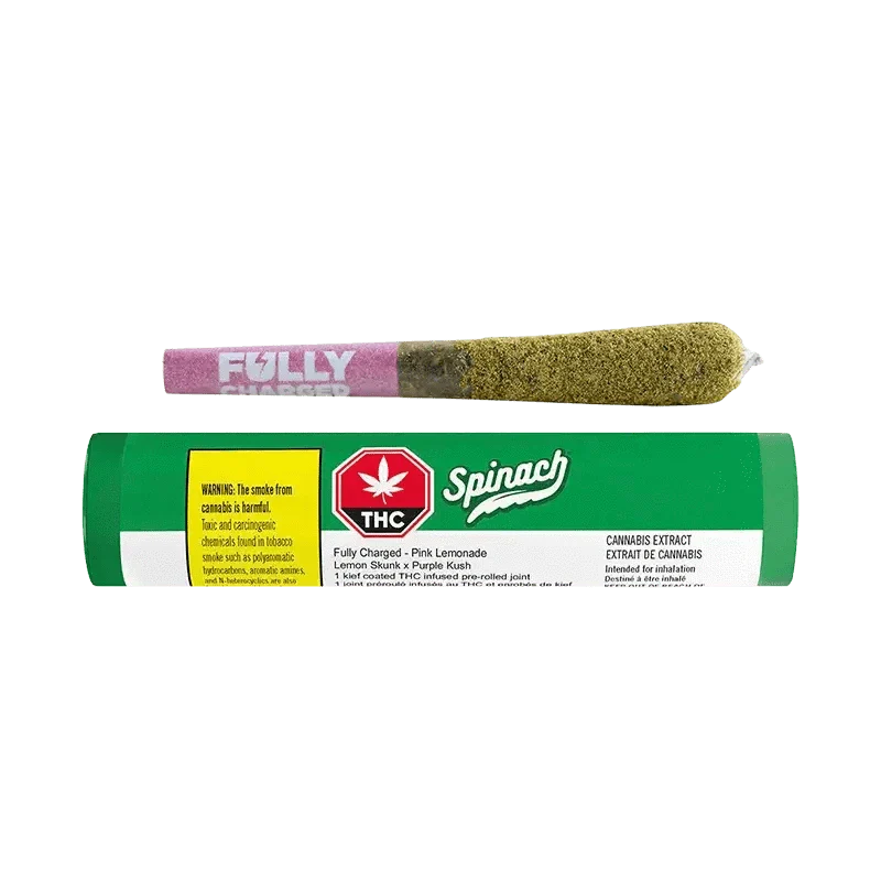 Fully Charged Pink Lemonade Infused PR 1 x 0.7 g