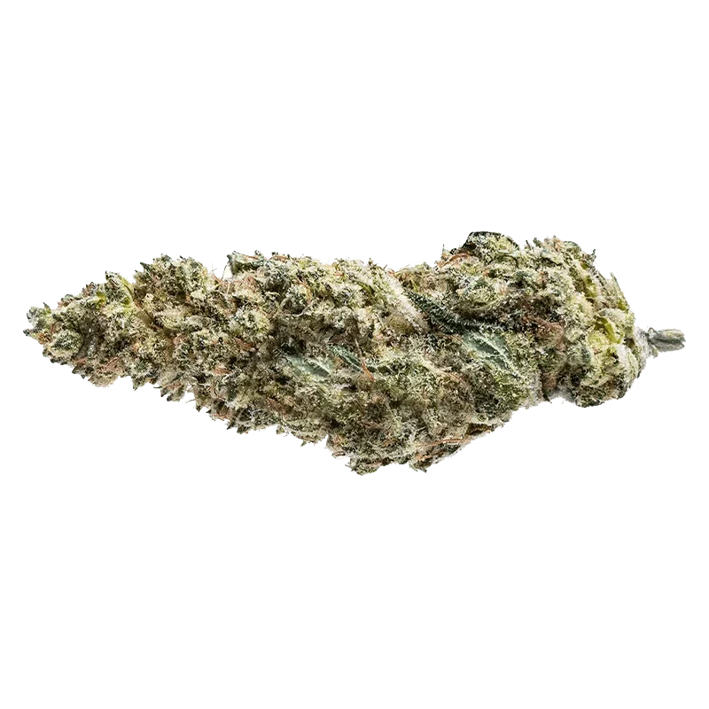 Blue Dream #16 - Image 2