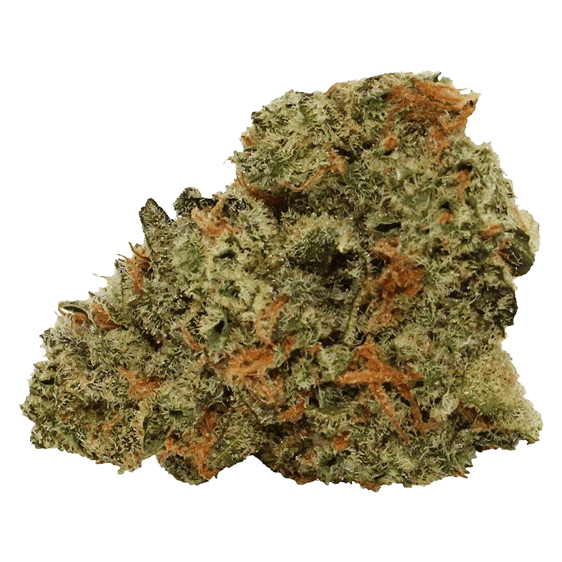 Tropical Milkshake - Image 2