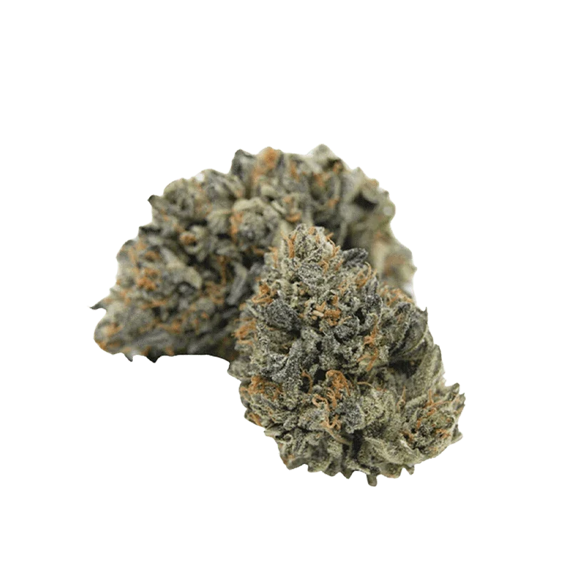 Harmony Haze Lawp - Image 2