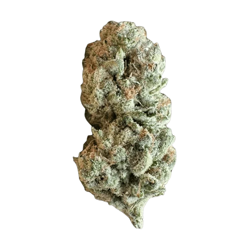 Super G - Image 2