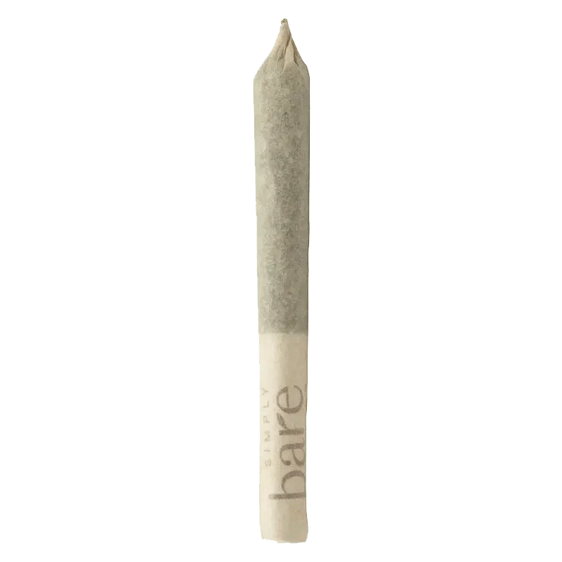 BC Organic Fruit Loopz PR 10 x 0.3 g - Image 2