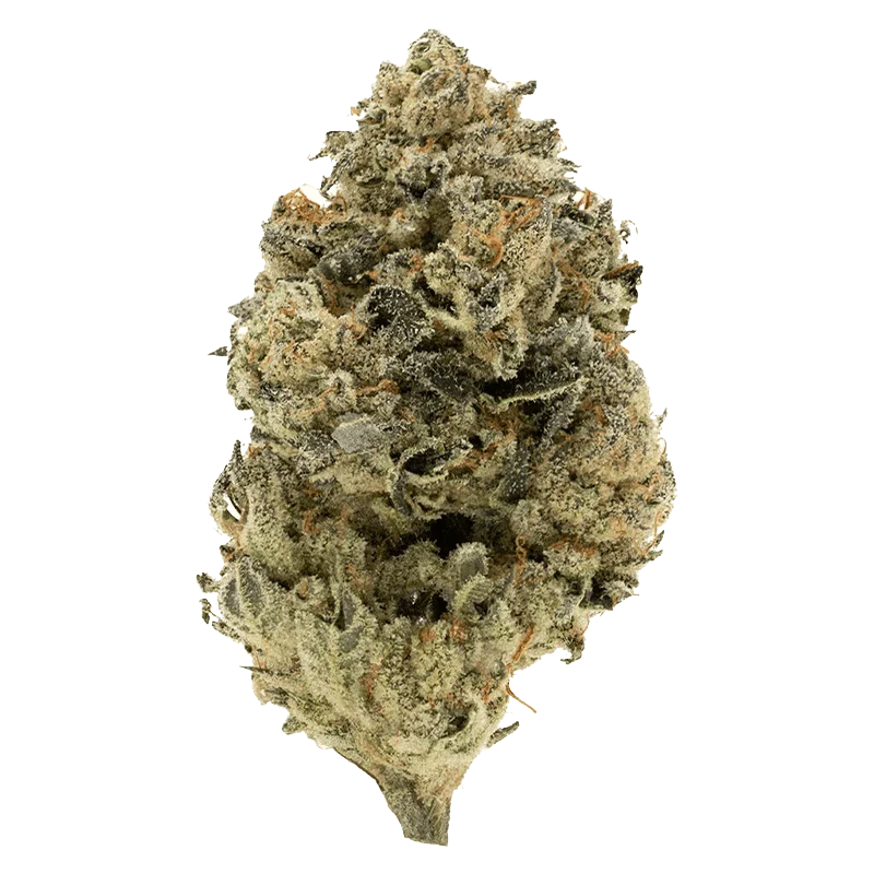 BC Organic Grape Cream Cake - Image 2