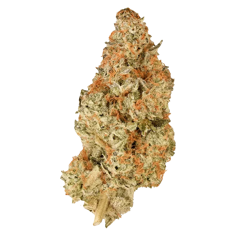 BC Organic Pink Drip - Image 2