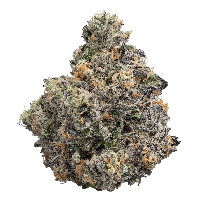 BC Organic Sunset Runtz - Image 2