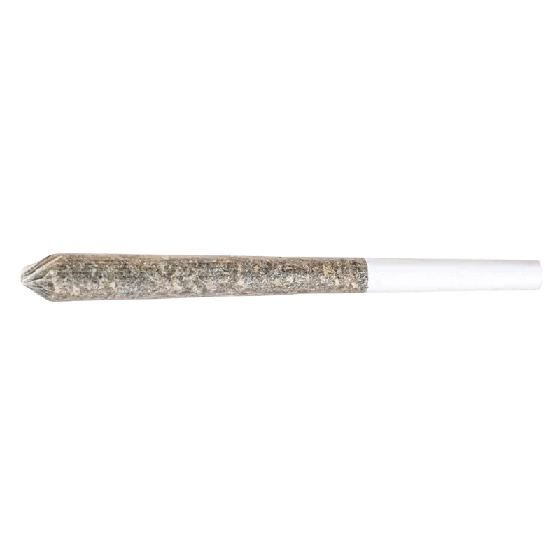 Amnesia Haze PR 1 x 0.5 g - Image 2