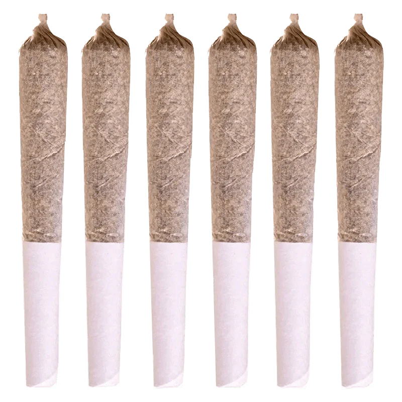 White Widow PR 1 x 0.5 g - Image 2