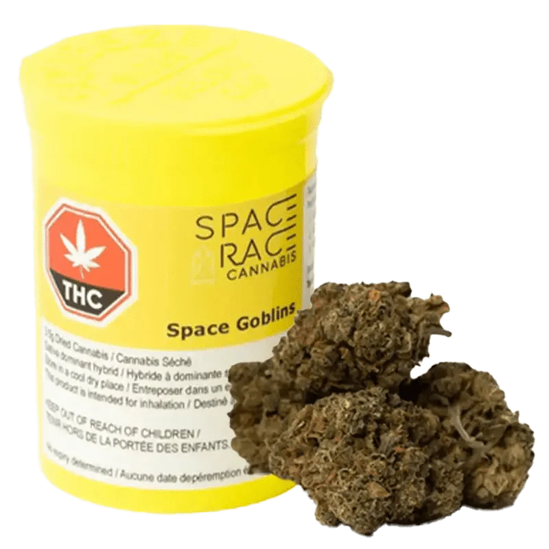 Space Goblins