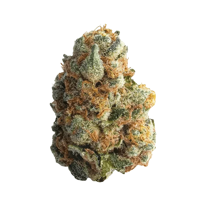 GMO Cookies - Image 2